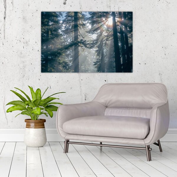 Slika drveća sa sunčevim zracima (90x60 cm)