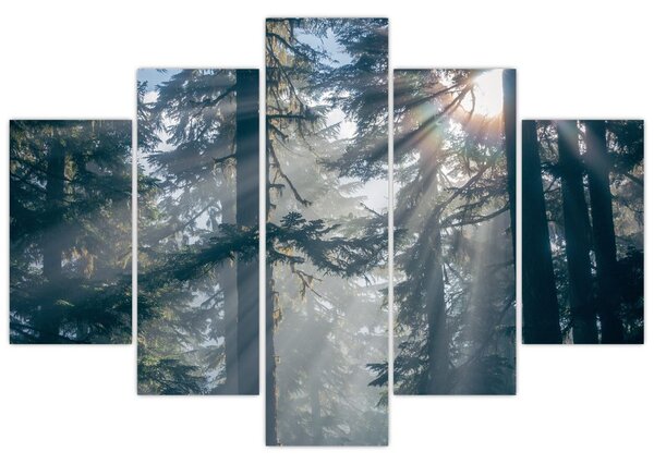 Slika drveća sa sunčevim zracima (150x105 cm)