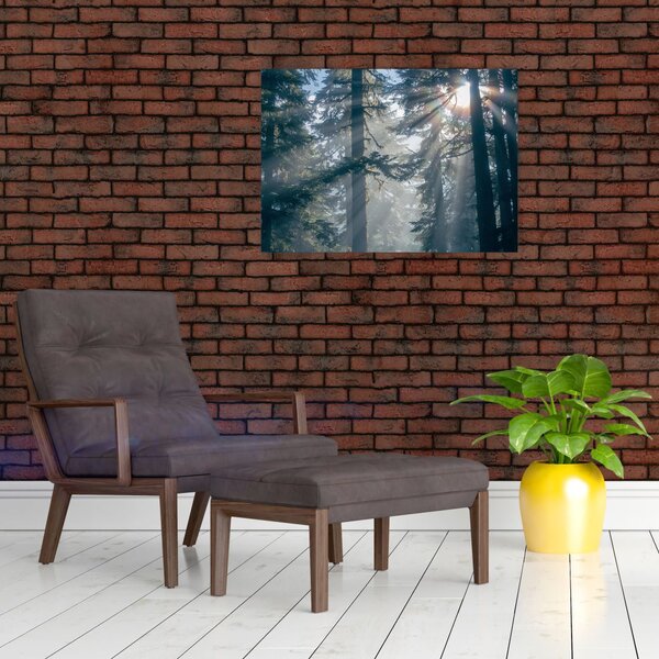 Slika drveća sa sunčevim zracima (70x50 cm)