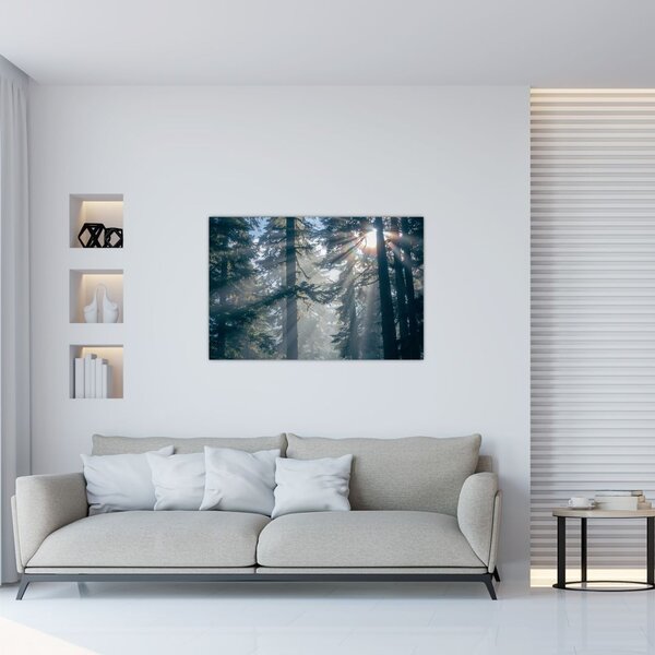 Slika drveća sa sunčevim zracima (90x60 cm)