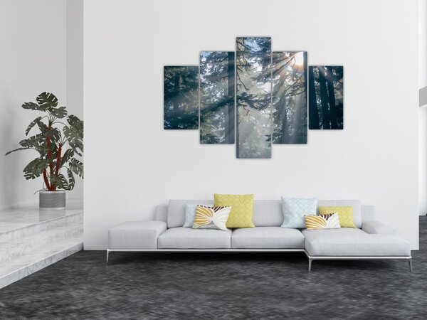 Slika drveća sa sunčevim zracima (150x105 cm)