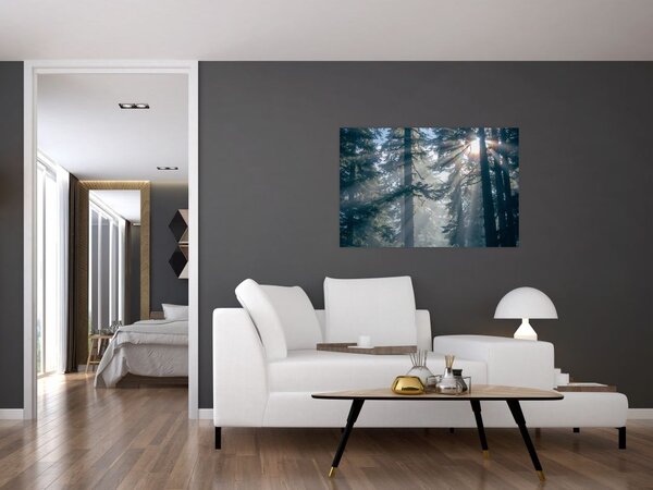 Slika drveća sa sunčevim zracima (90x60 cm)