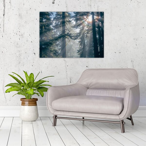 Slika drveća sa sunčevim zracima (70x50 cm)