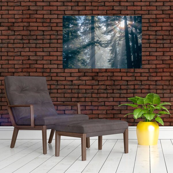 Slika drveća sa sunčevim zracima (90x60 cm)