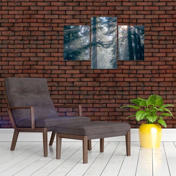 Slika drveća sa sunčevim zracima (90x60 cm)