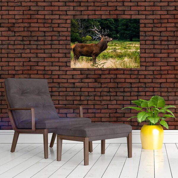 Slika jelena (70x50 cm)