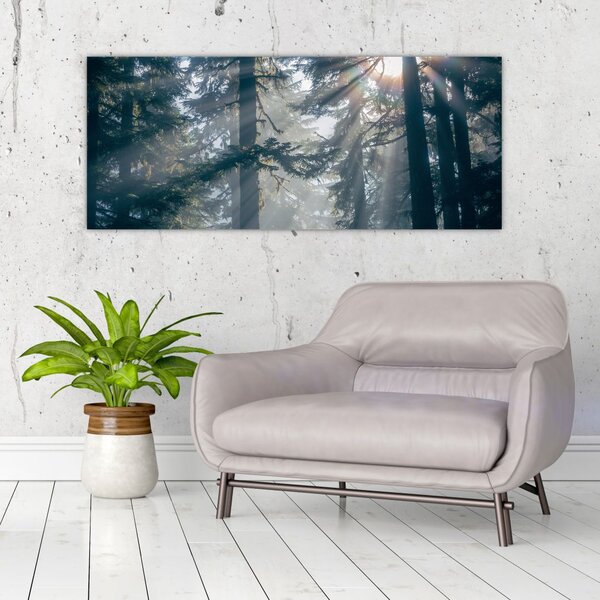 Slika drveća sa sunčevim zracima (120x50 cm)