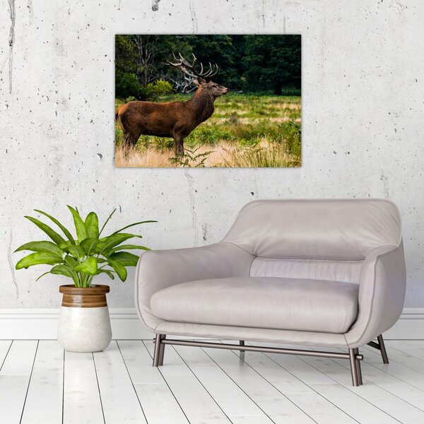 Slika jelena (70x50 cm)