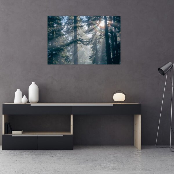 Slika drveća sa sunčevim zracima (90x60 cm)