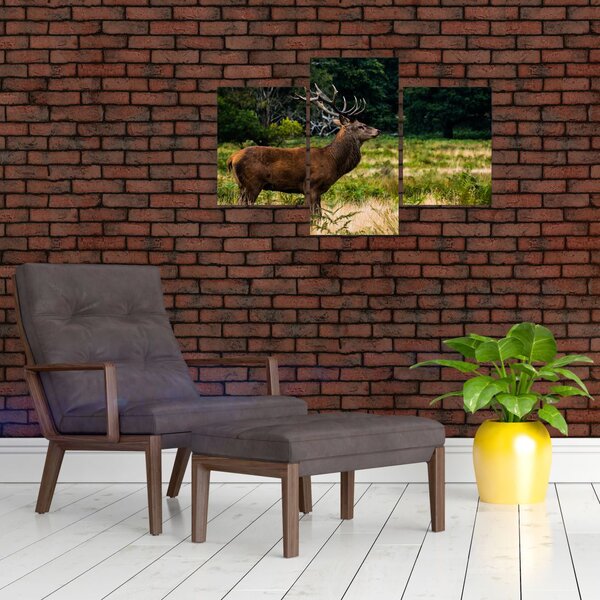 Slika jelena (90x60 cm)