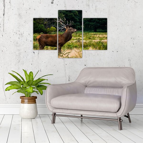 Slika jelena (90x60 cm)