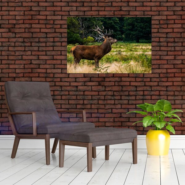 Slika jelena (90x60 cm)