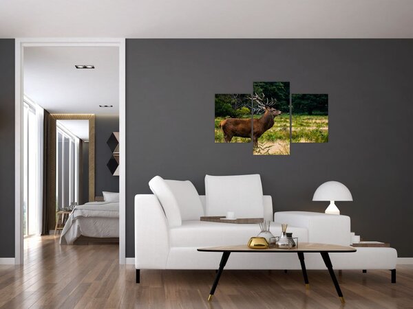 Slika jelena (90x60 cm)