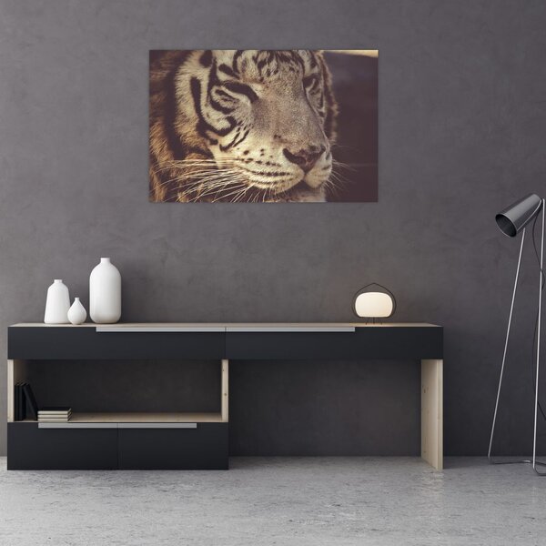 Slika tigra (90x60 cm)