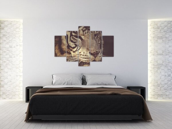 Slika tigra (150x105 cm)