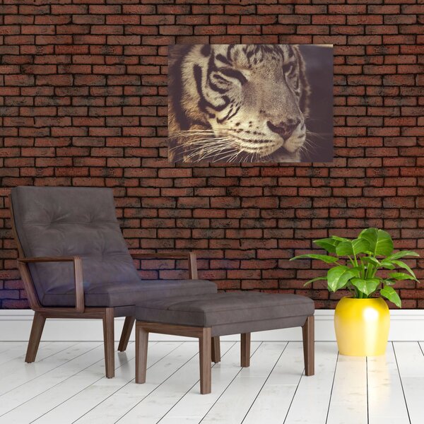 Slika tigra (70x50 cm)