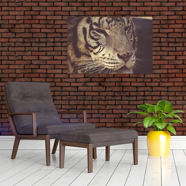 Slika tigra (90x60 cm)