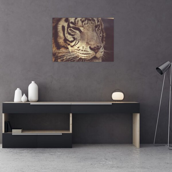 Slika tigra (70x50 cm)