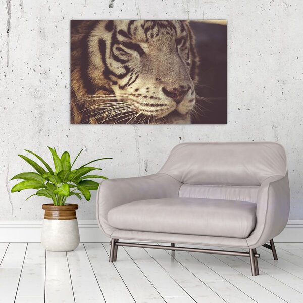 Slika tigra (90x60 cm)