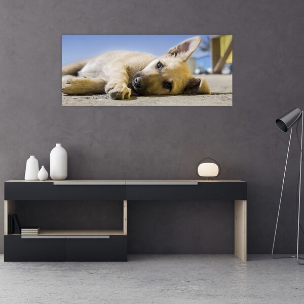 Slika ležećeg psića (120x50 cm)
