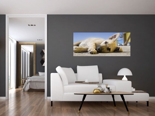 Slika ležećeg psića (120x50 cm)