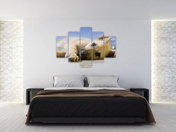 Slika ležećeg psića (150x105 cm)