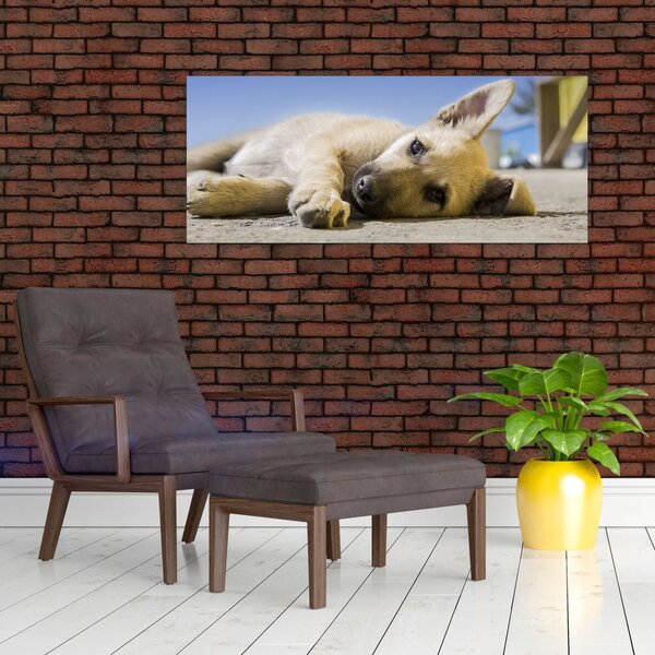 Slika ležećeg psića (120x50 cm)