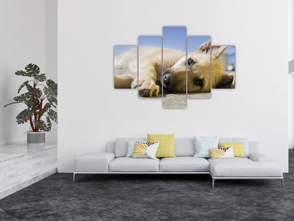 Slika ležećeg psića (150x105 cm)