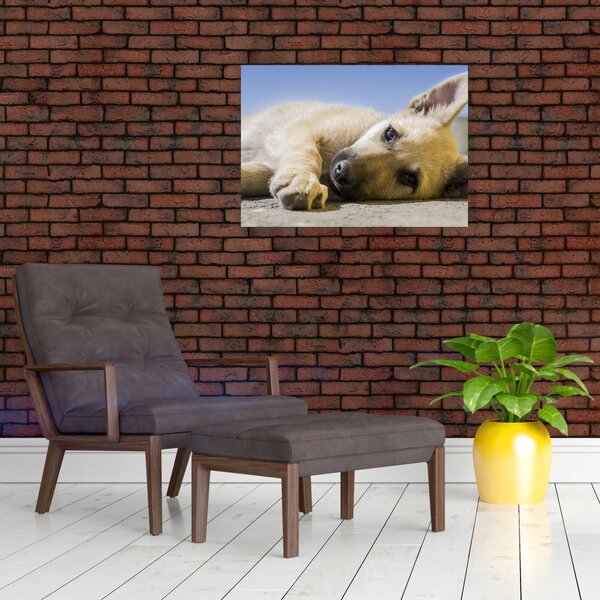 Slika ležećeg psića (70x50 cm)