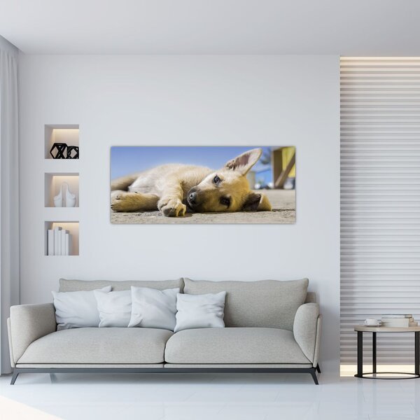 Slika ležećeg psića (120x50 cm)