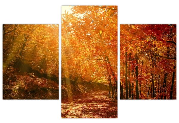 Slika jesenske šume (90x60 cm)