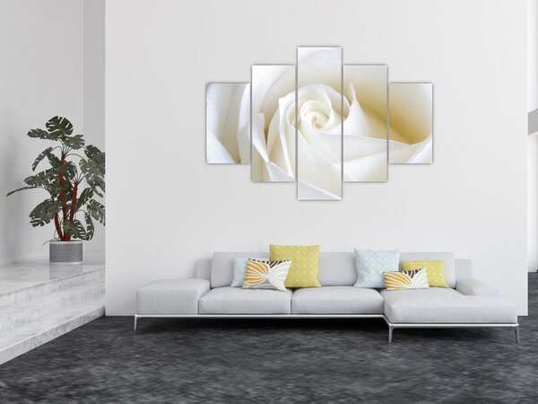 Slika bijele ruže (150x105 cm)