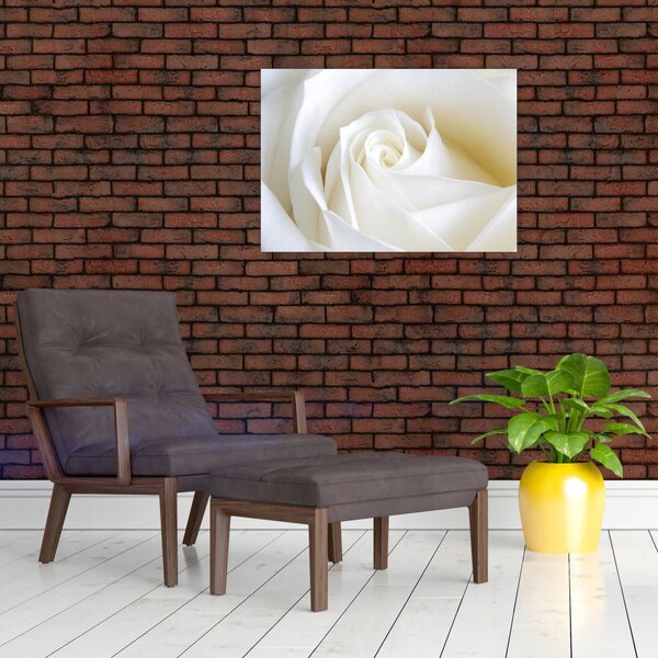 Slika bijele ruže (70x50 cm)