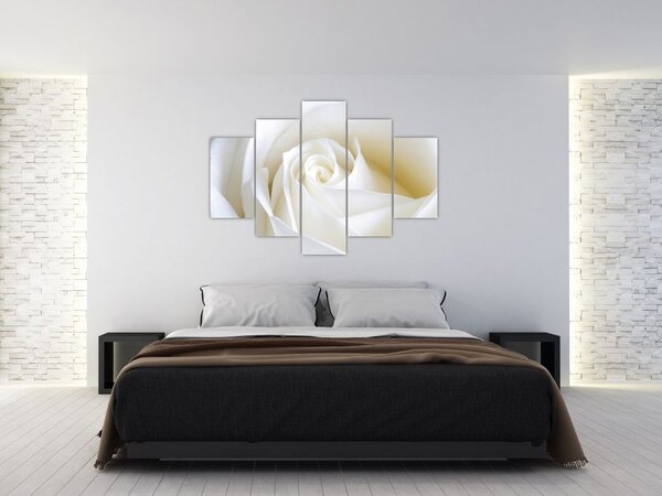 Slika bijele ruže (150x105 cm)