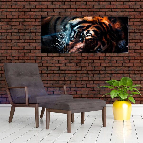 Slika ležećeg tigra (120x50 cm)