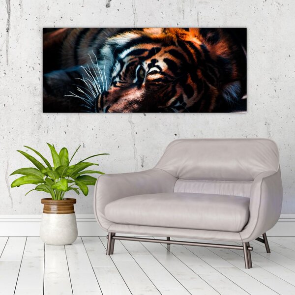 Slika ležećeg tigra (120x50 cm)