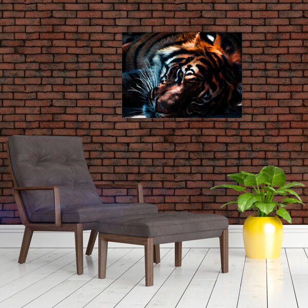 Slika ležećeg tigra (70x50 cm)