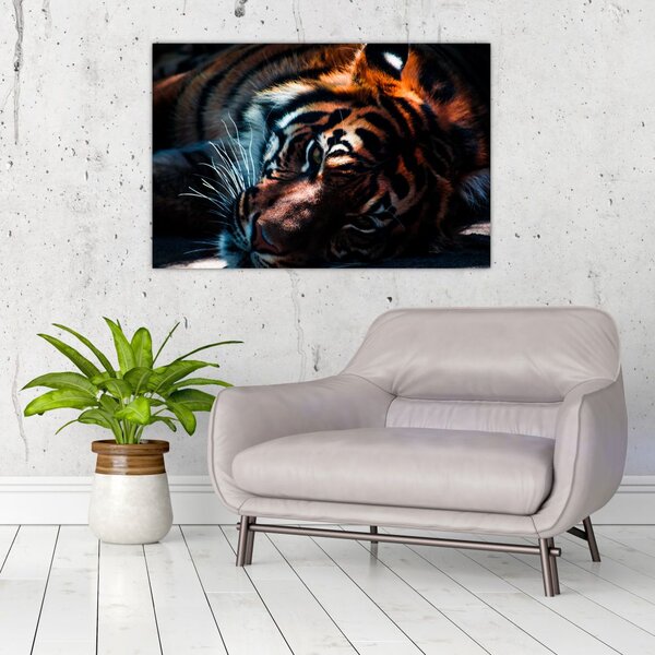 Slika ležećeg tigra (90x60 cm)