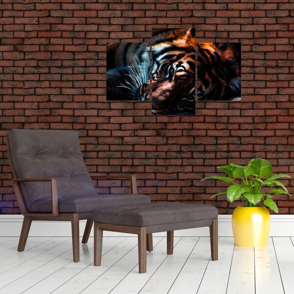 Slika ležećeg tigra (90x60 cm)