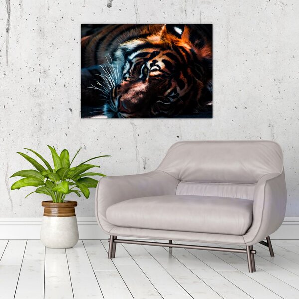 Slika ležećeg tigra (70x50 cm)