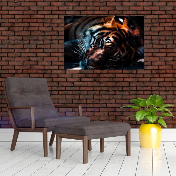 Slika ležećeg tigra (90x60 cm)