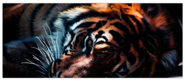 Slika ležećeg tigra (120x50 cm)