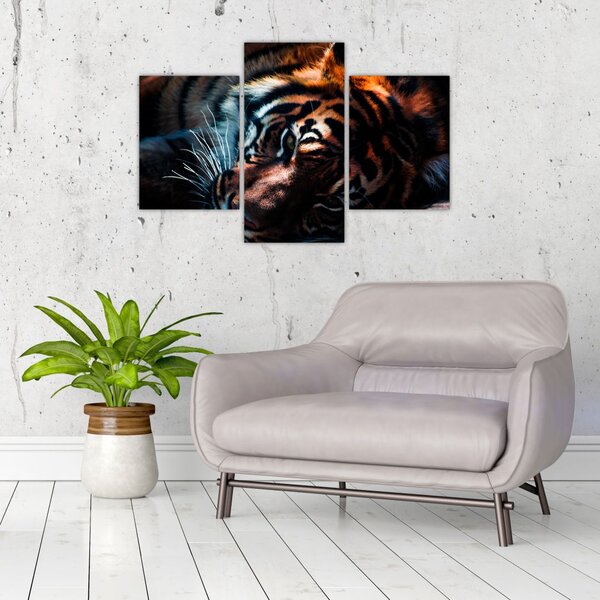 Slika ležećeg tigra (90x60 cm)