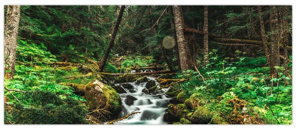 Slika potoka u šumi (120x50 cm)