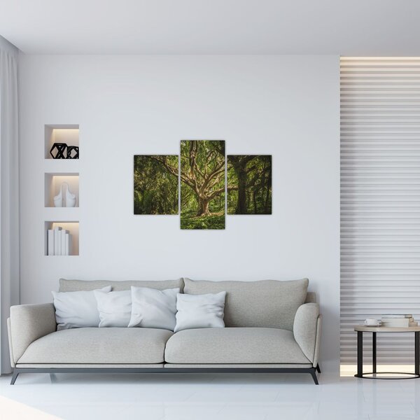 Slika stabla (90x60 cm)
