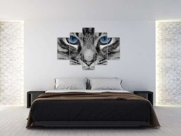 Slika mačke (150x105 cm)