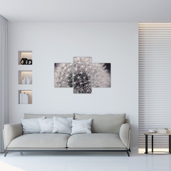Slika maslačka (90x60 cm)
