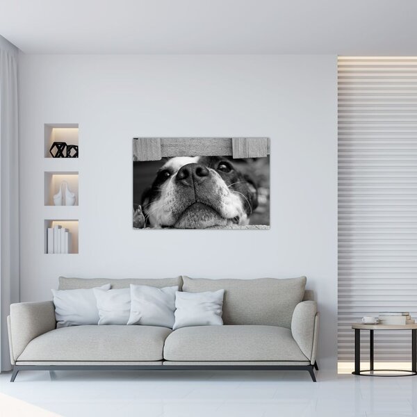 Slika psa (90x60 cm)