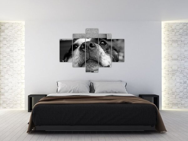 Slika psa (150x105 cm)