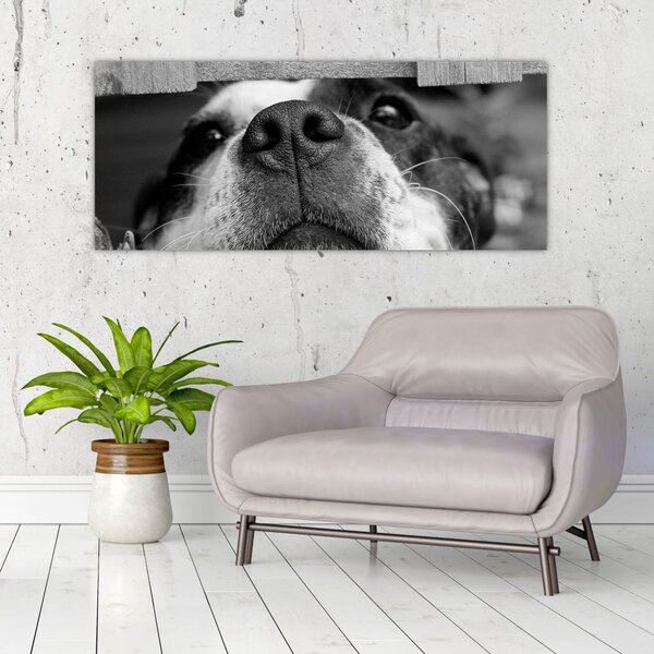 Slika psa (120x50 cm)
